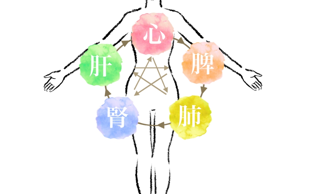 東洋医学の知識をもとにあなたの体へ根本から働きかけます